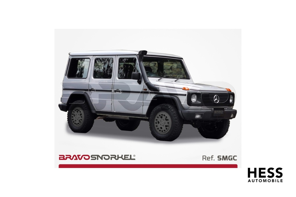 SMGC_3118