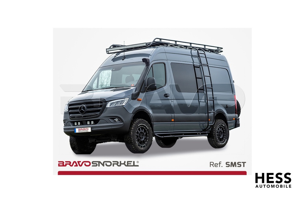 SMSV-1_3122