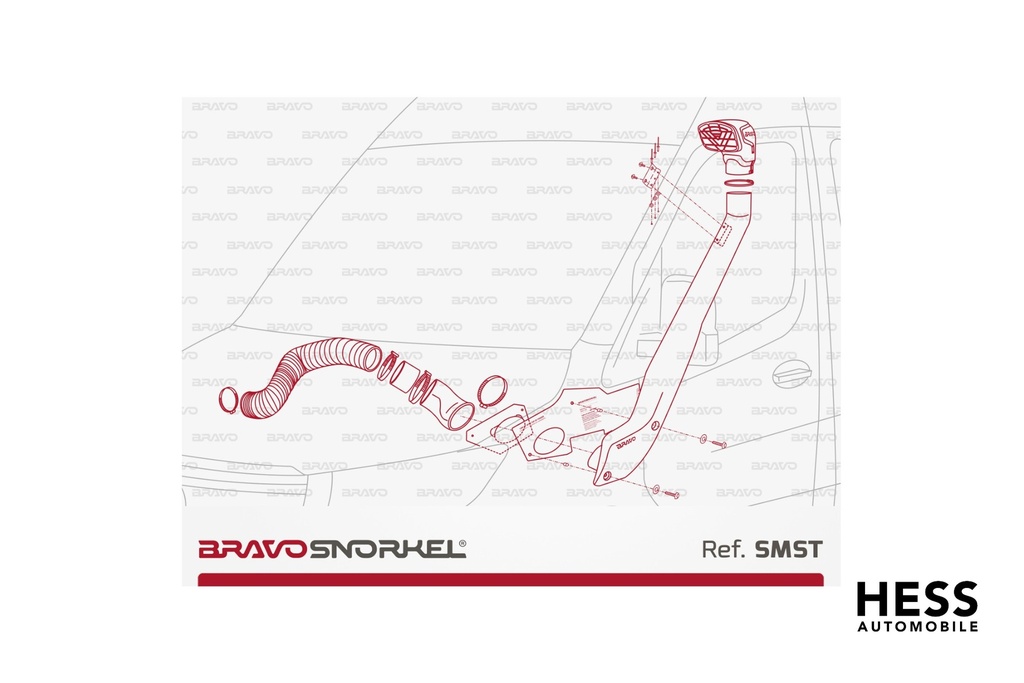 SMSV-1_3123