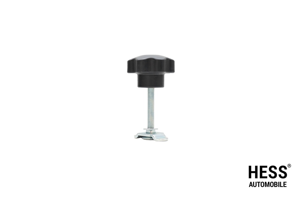 Schraubfitting M8x60mm mit Sterngriff, verzinkt