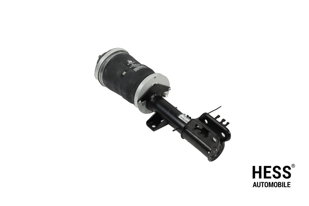 4C T32 +30mm Federbein links T5/T6/T6.1