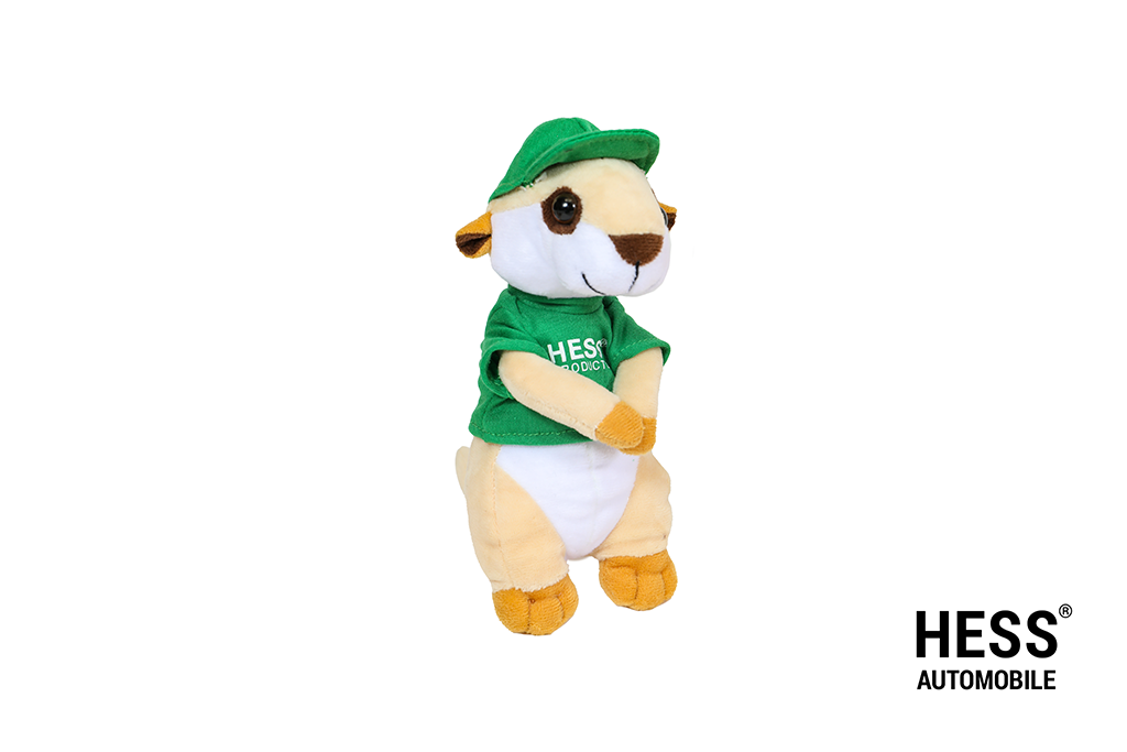 Werni Maskottchen Shirt grün + Cap