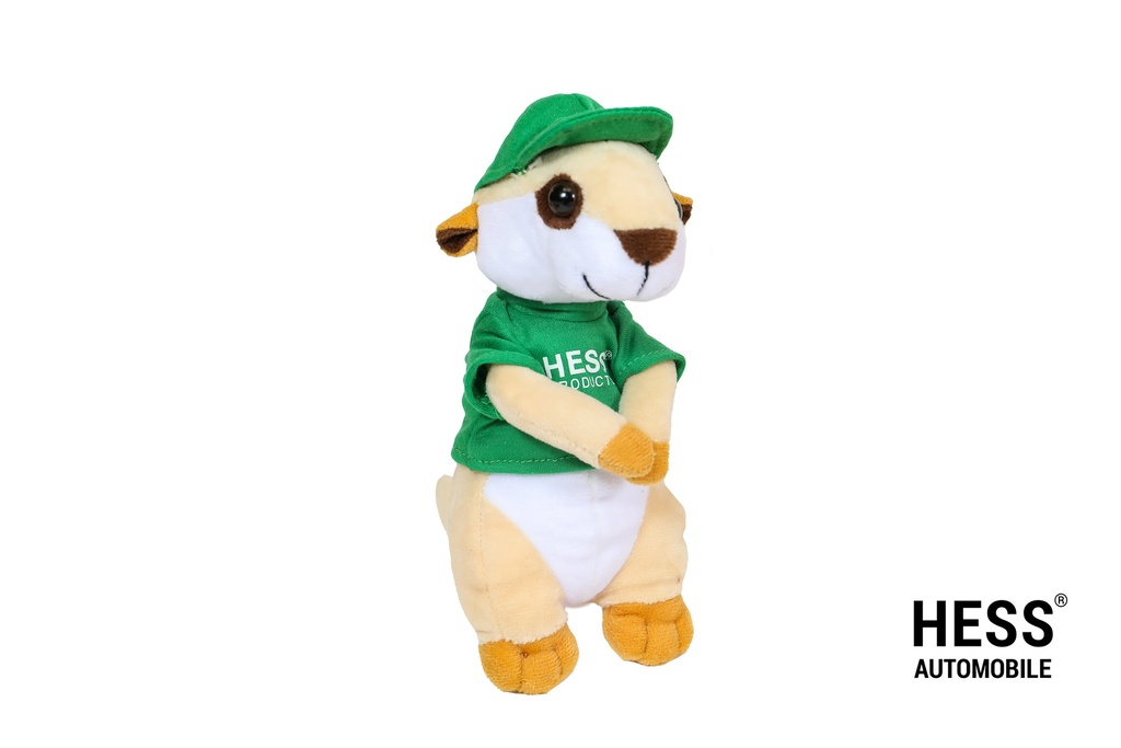 Werni Maskottchen Shirt grün + Cap