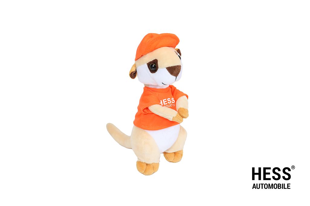 Werni Maskottchen Shirt orange + Cap