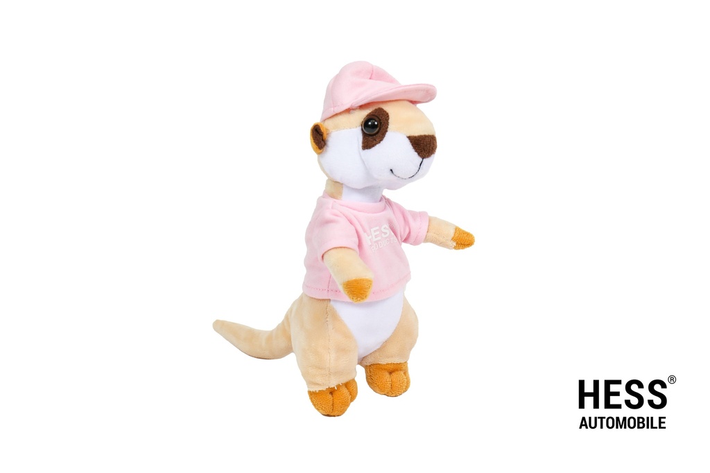 Werni Maskottchen Shirt rosa + Cap