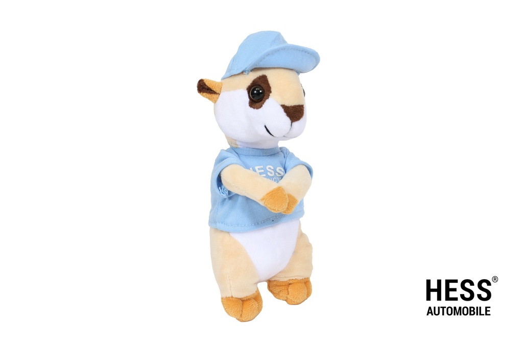 Werni Maskottchen Shirt Blau + Cap