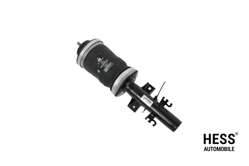 4C T30 Federbein links T5/T6/T6.1