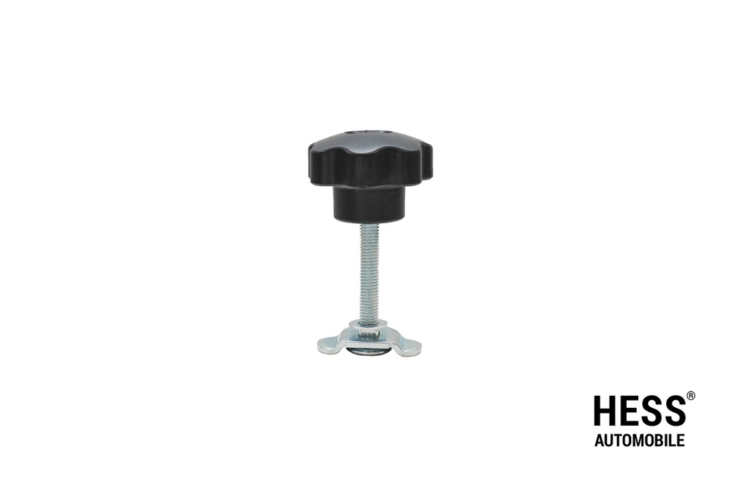 Schraubfitting M8x60mm mit Sterngriff, verzinkt