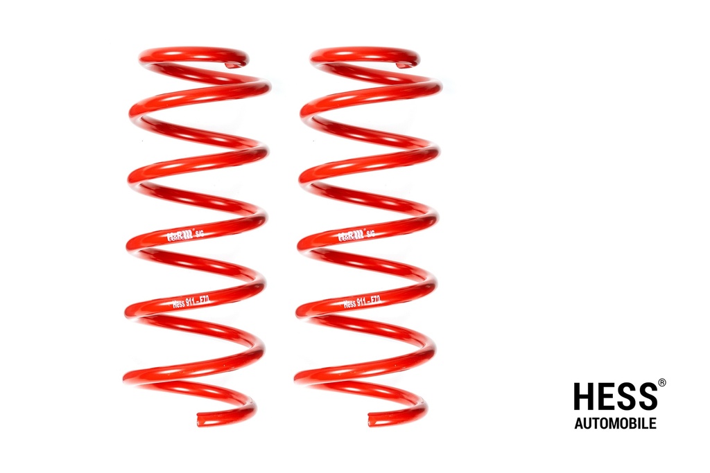 Auflastung VW T7 Transporter, Ford Custom – Achslast 1: 1'750 kg