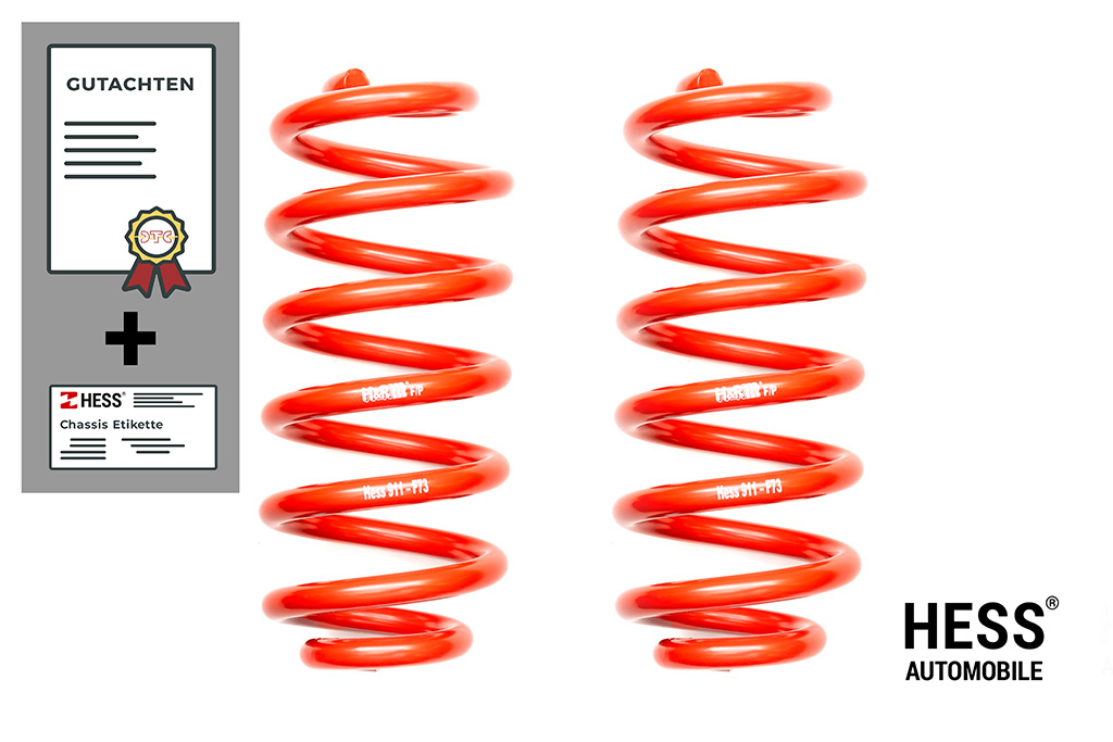 Auflastung VW T7 Transporter, Ford Custom – Achslast 2: 2200 kg