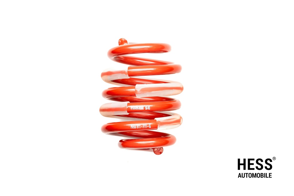 VW T5/T6/T6.1 Feder GW h. +10mm