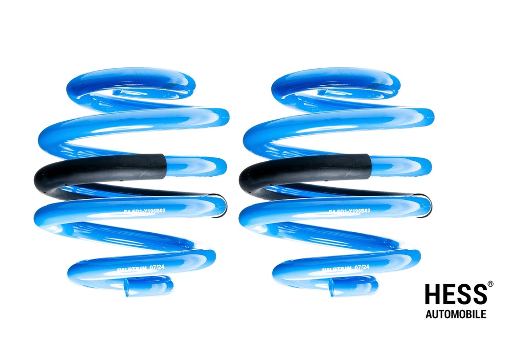 Ersatzfeder hinten B14 V2