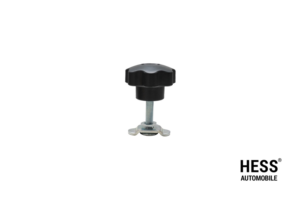 Schraubfitting M8x40mm mit Sterngriff, verzinkt