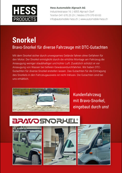 Flyer Snorkel Bravo