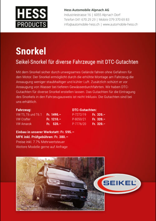 Flyer Snorkel Seikel